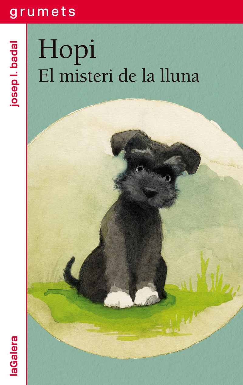 EL MISTERI DE LA LLUNA