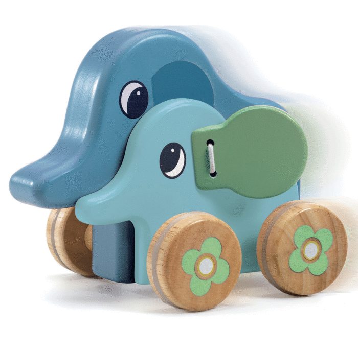 BABY COLOR ARRASTRE DJECO