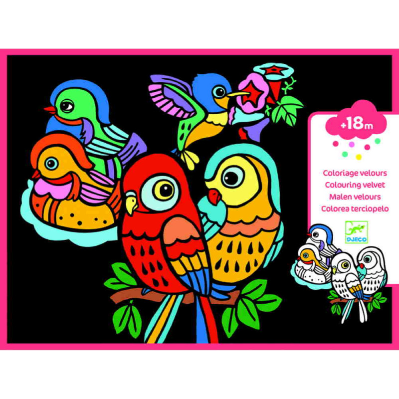 COLOREA TERCIOPELO BEBÉS DE PÁJAROS