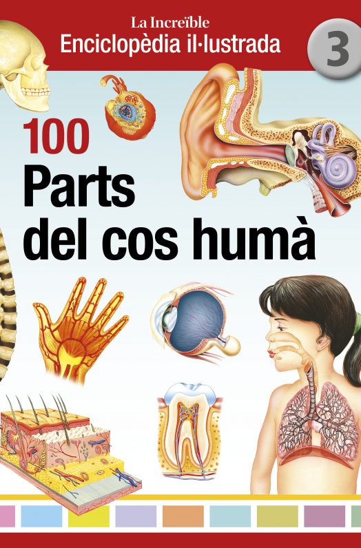 100 PARTS DEL COS HUMÀ