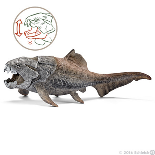 DUNKLEOSTEUS