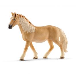 YEGUA HAFLINGER