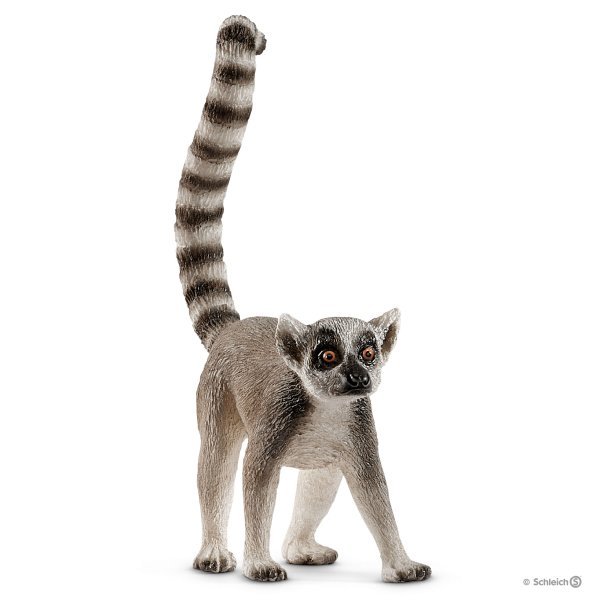 LEMUR DE COLA ANILLADA