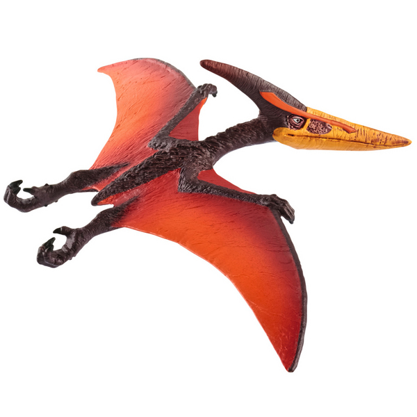 PTERANODON