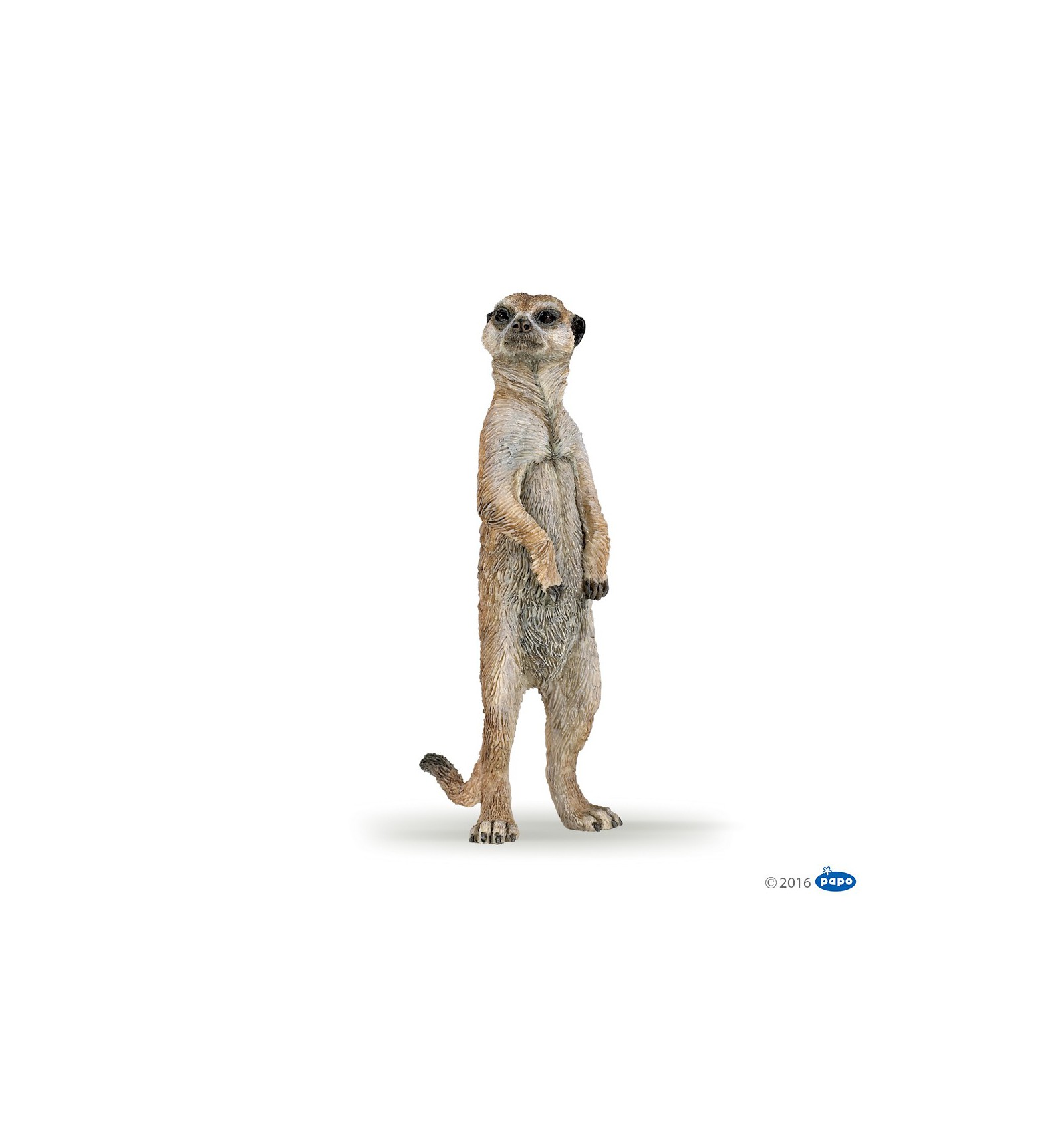 SURICATA