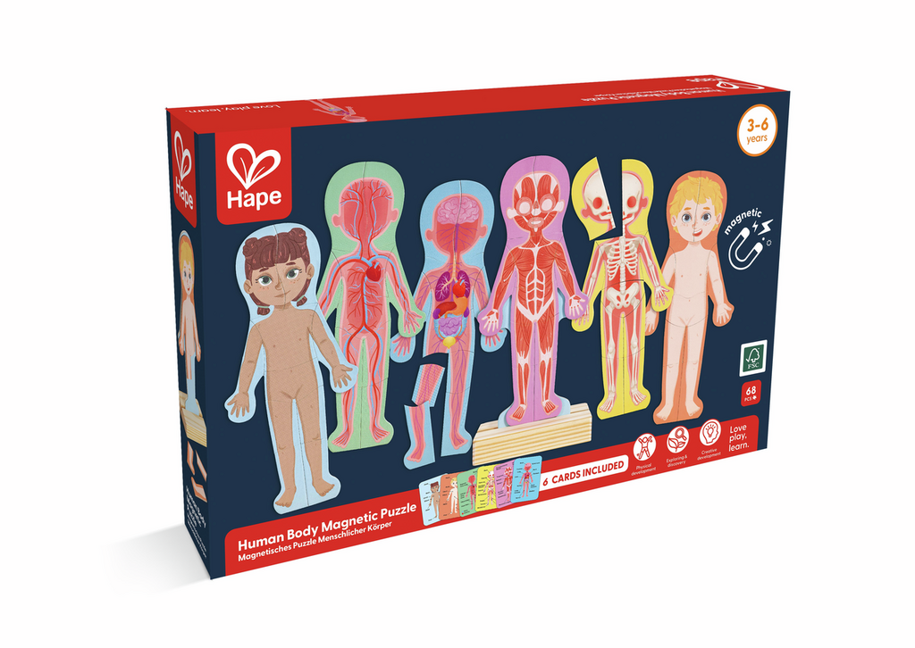 PUZLE MAGNÈTIC DEL COS HUMÀ