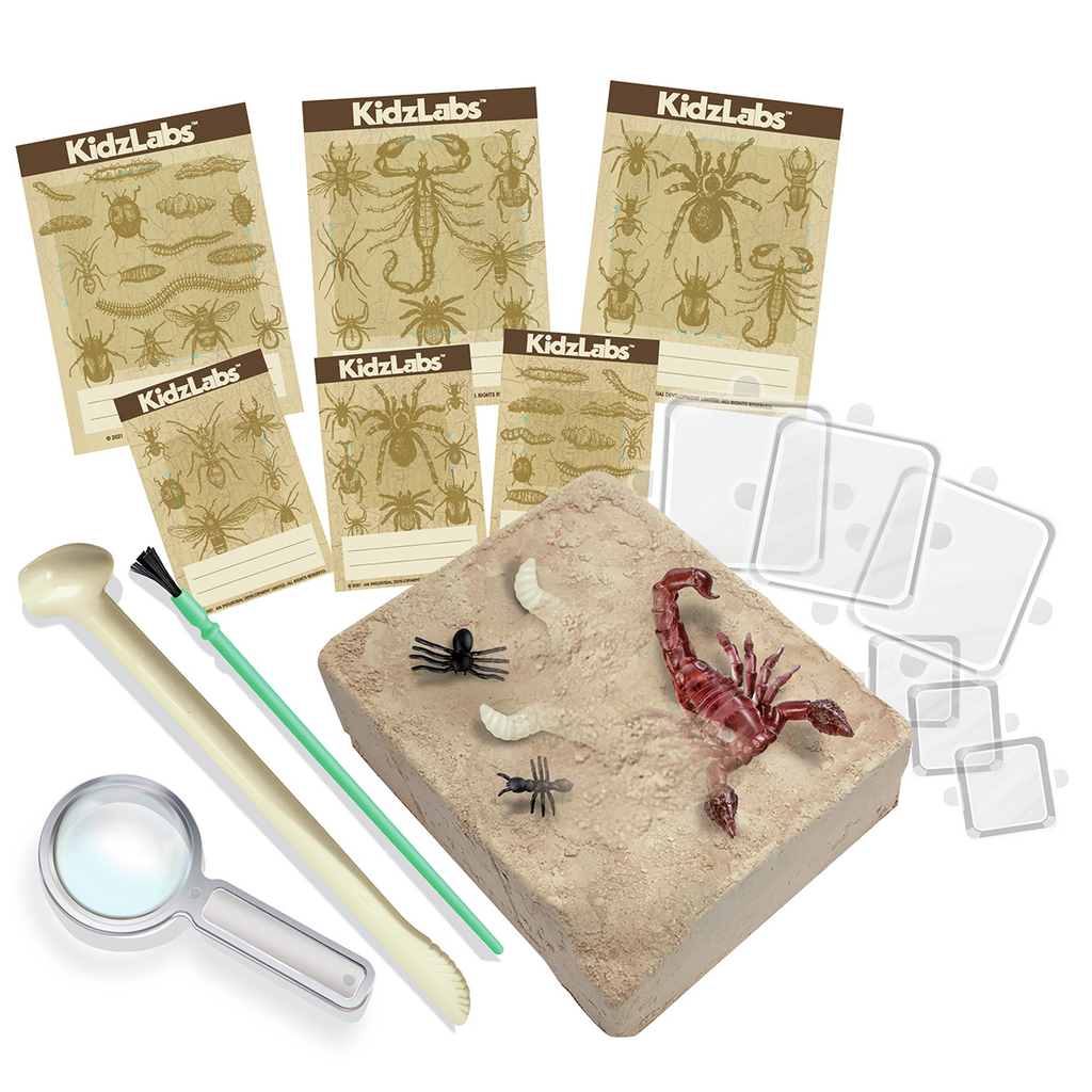 KIDZ LABS EXCAVACIÓ D'INSECTES