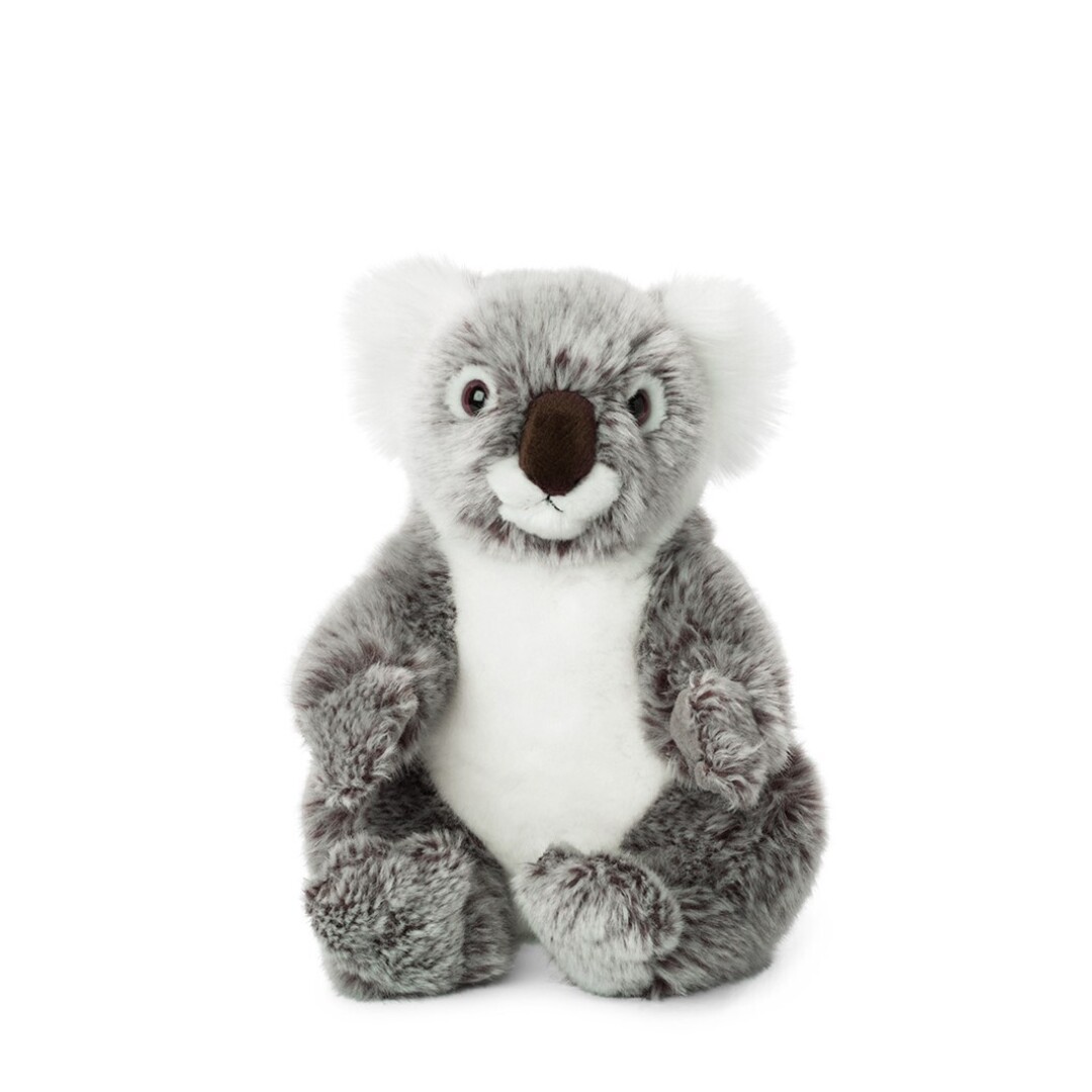 KOALA 22 CM