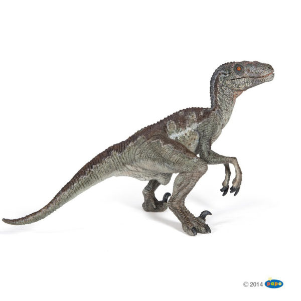 VELOCIRAPTOR