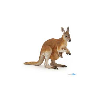 cangur i el seu nadó