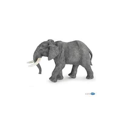 elefant africà  elefant africà