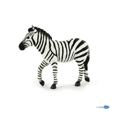 zebra mascle