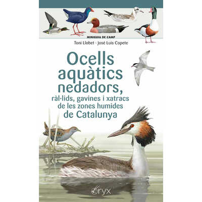 ocells aquàtics nedadors  ocells aquàtics nedadors