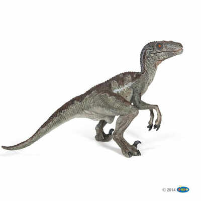 velociraptor