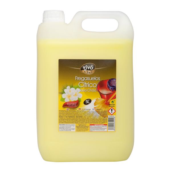 FREGASUELOS CITRICO VIVO CHEF 5 L. 1