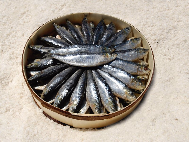 ARENQUE CASCO CAJA 6 KG (80/100 UN.APR.) 1