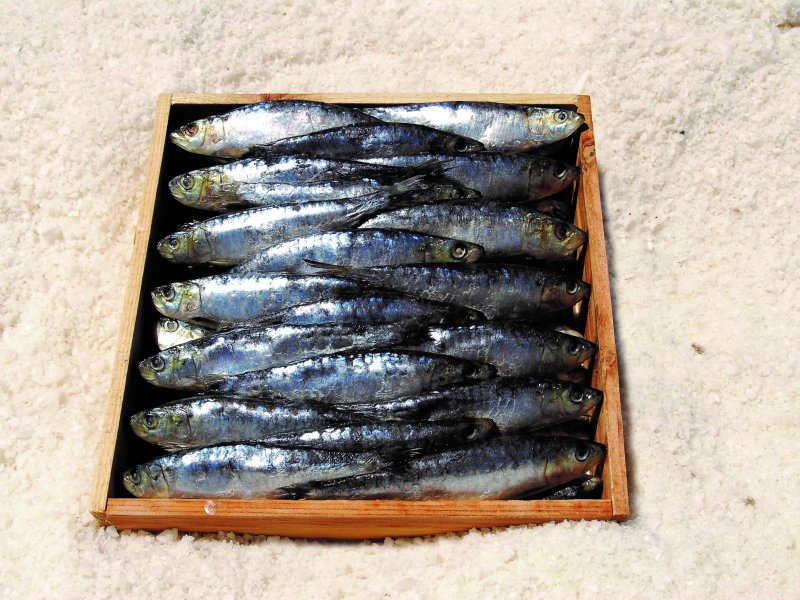 ARENQUE CAJA 2 KG (24 UN.APROX) 1