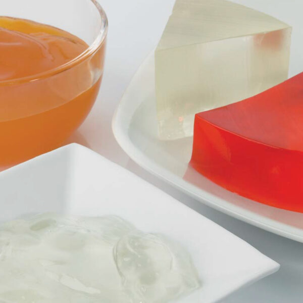 GELAT.FLUIDA ALBARICOQUE VILAMAJO 6 KG. 1