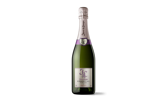 CAVA JUVE CAMPS RVA.BRUT PURPURA 75 CL. 2