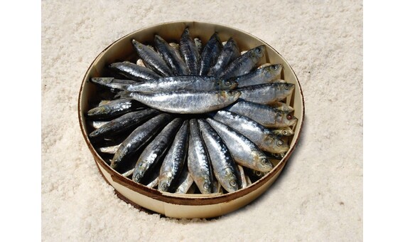 ARENQUE CASCO CAJA 6 KG (80/100 UN.APR.)