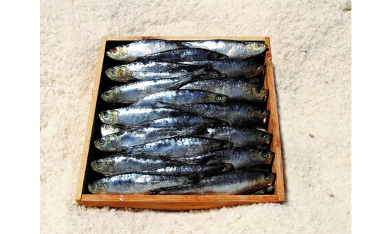 ARENQUE CAJA 2 KG (24 UN.APROX)