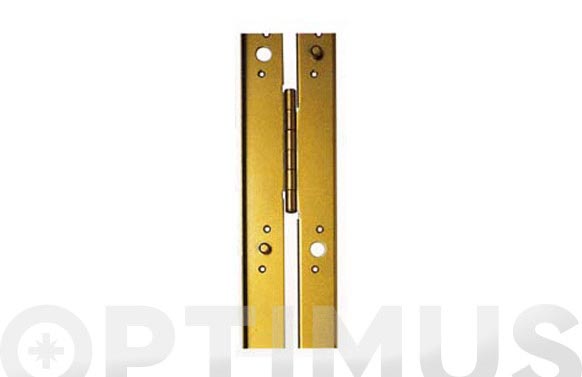 BISAGRA ALTA SEGURIDAD    2110 X 45MM MO