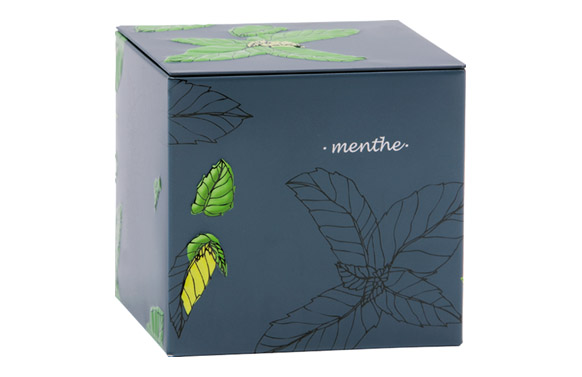 CAJA METALICA DECORADA RELIE43010-TE   *