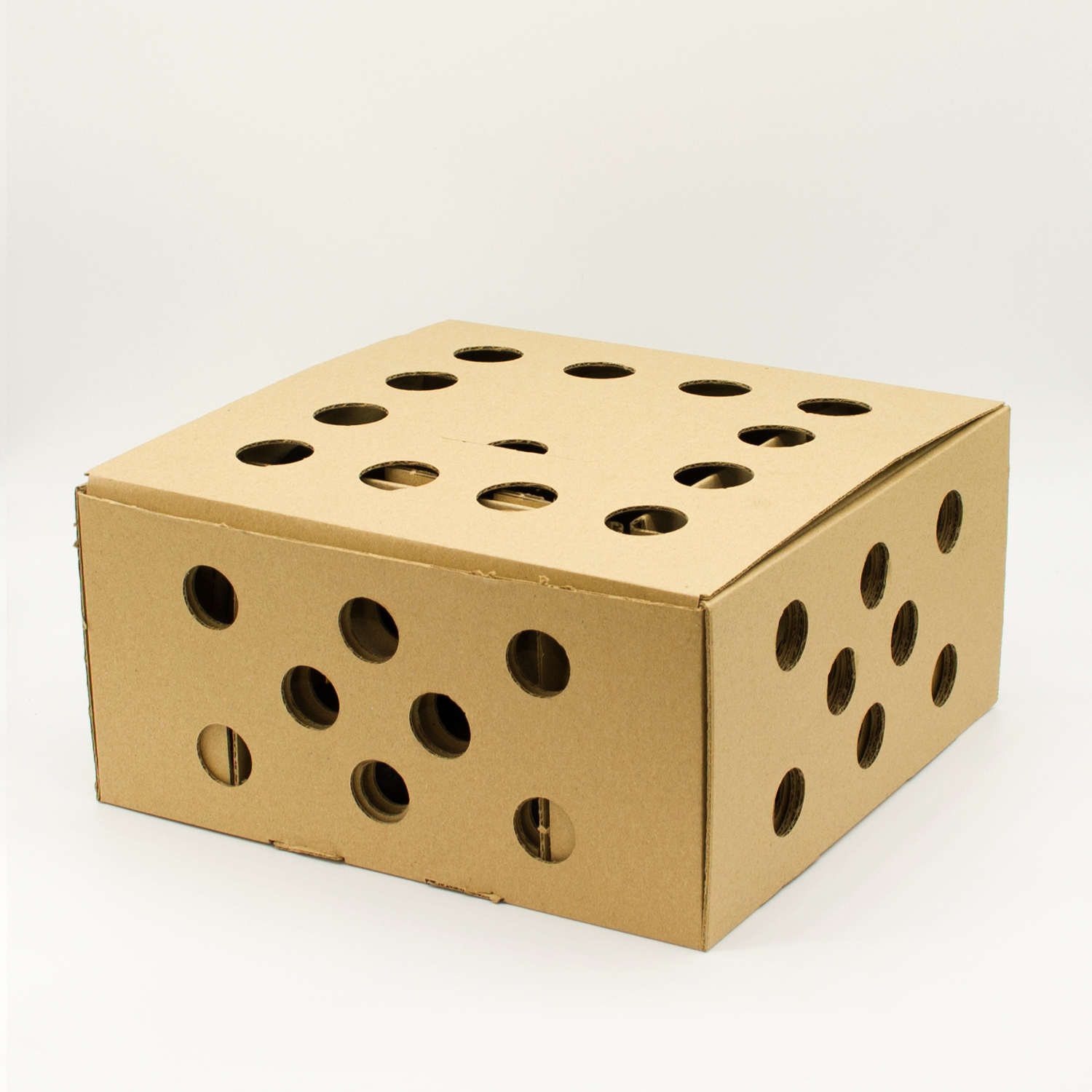 CARBON CARBOQUICK (BARBACOA)     89202 4