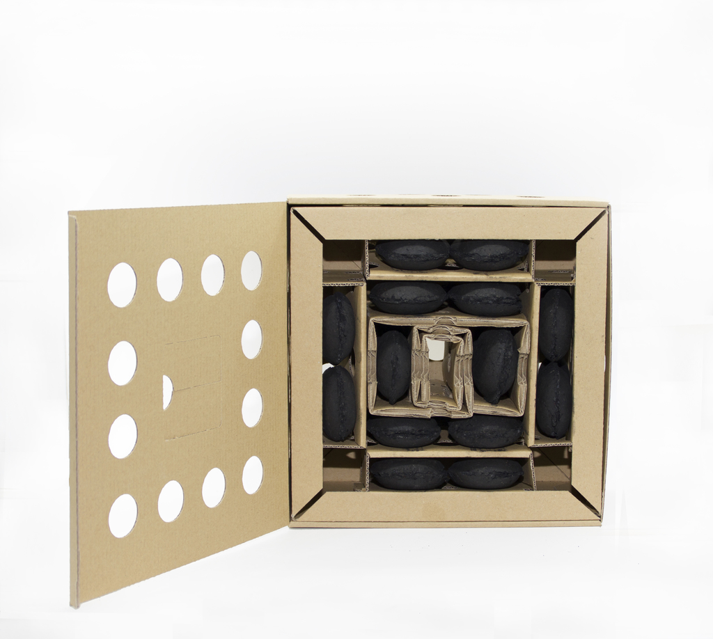 CARBON CARBOQUICK (BARBACOA)     89202 6