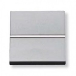 CRUZAMIENTO PLATA         (082106)