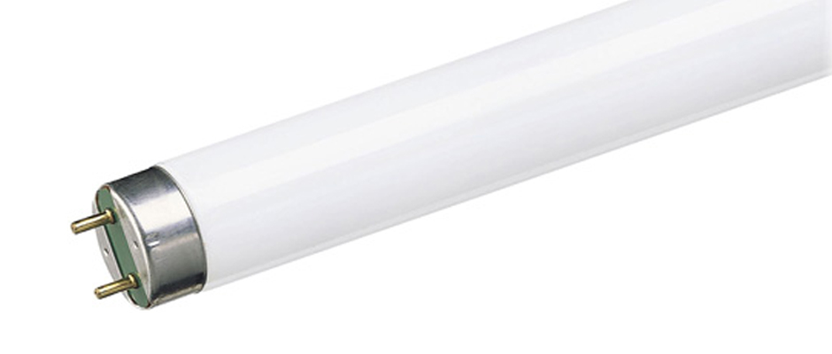 FLUORESCENTE CIRCULAR TRIFL32W865C