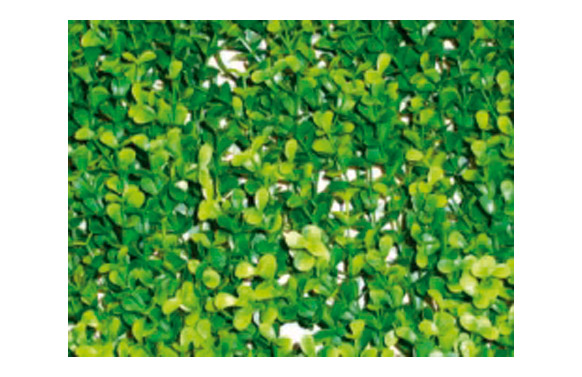 JARDIN VERTICAL LIMA      50X50 CM