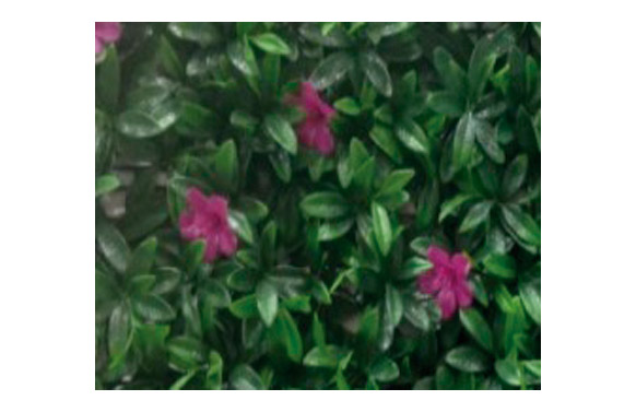 JARDIN VERTICAL MALVA     50 X 50 CM