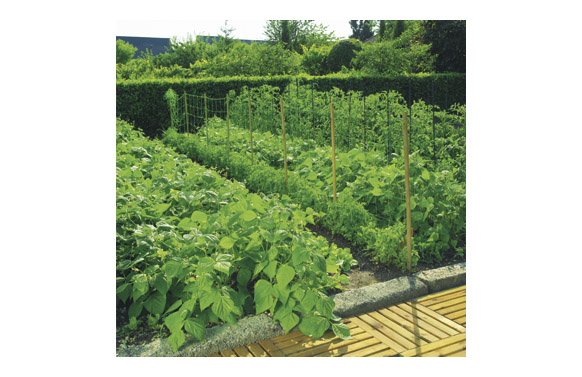 MALLA ENTUTORAR TRELLINET 2 X 10 M VERDE