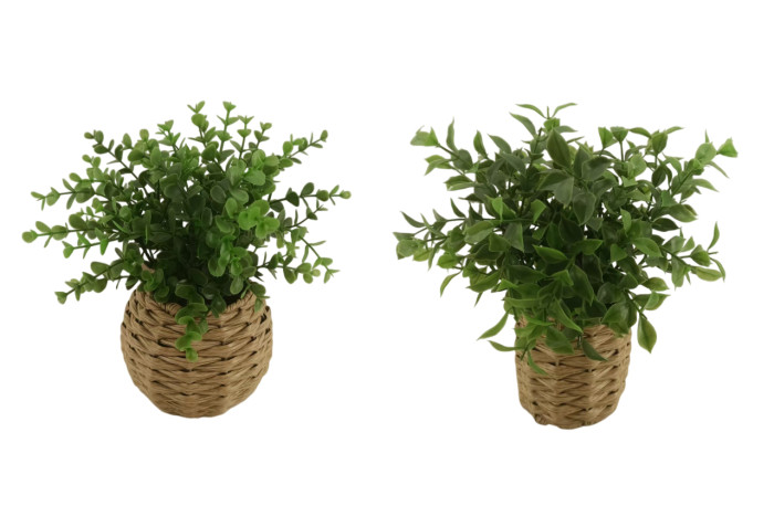 PLANTA ARTI./CEMENTO  15X15X14 CORAZON