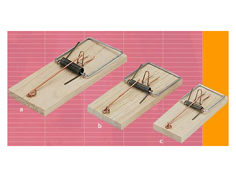 RATONERA TABLA MADERA N.2 135X62X12MM