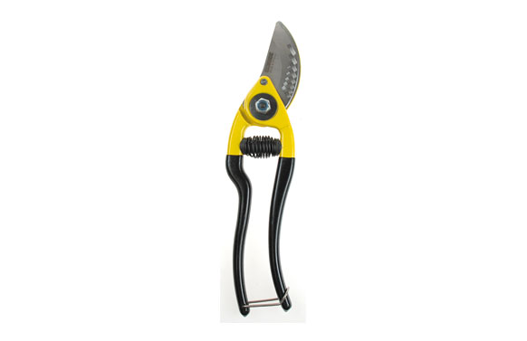 TIJERA PODAR              22 CM