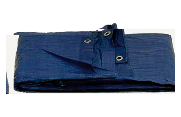 TOLDO POLIETILENO STANDARD2 X 3 M AZUL