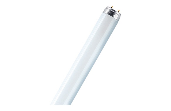 TUBO FLUORESCENTE BLANCA 20