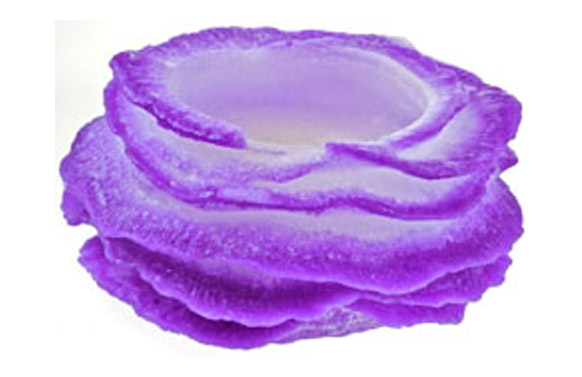 VELA DECORATIVA ALGA PEQUEÑALILA28     *