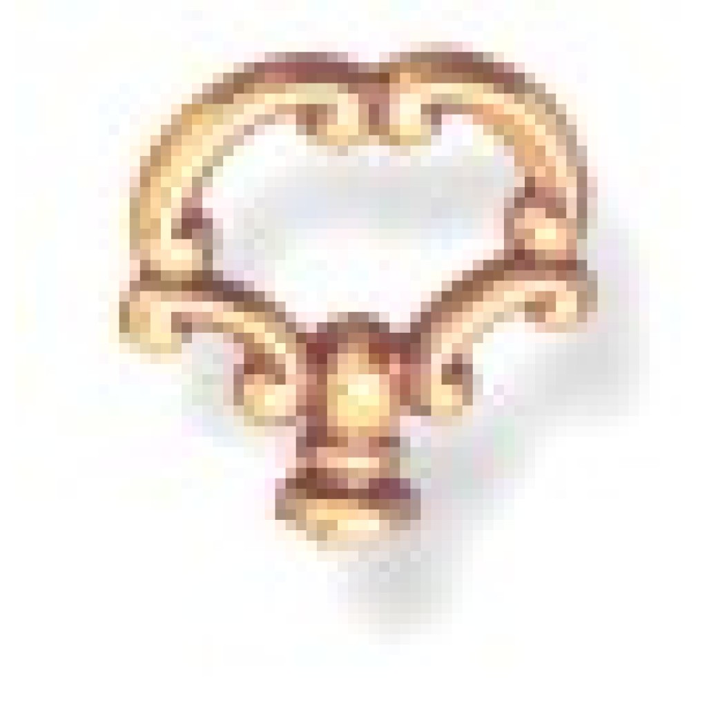 ANILLA CUERO CASTELLANOS 012-NO-06