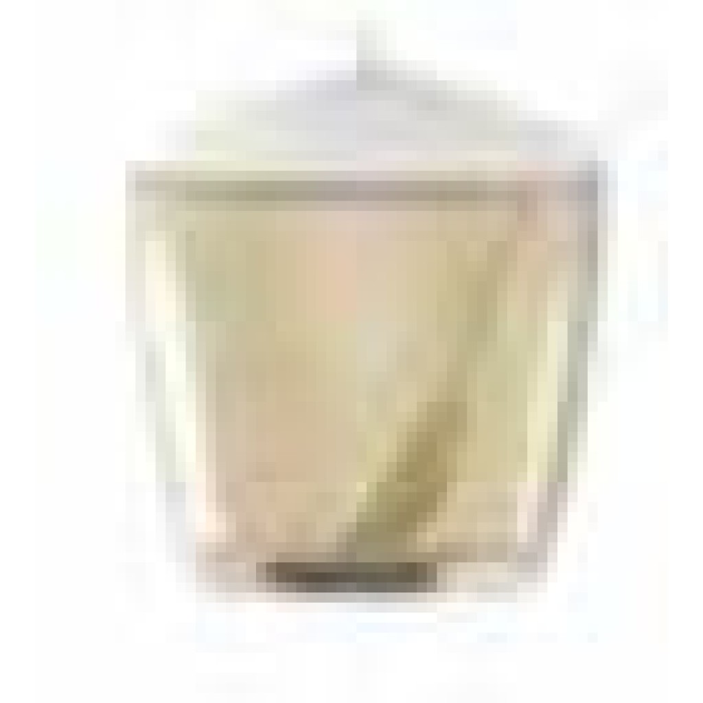 AZUCARERO PANGEA    BEIG       M5551TE