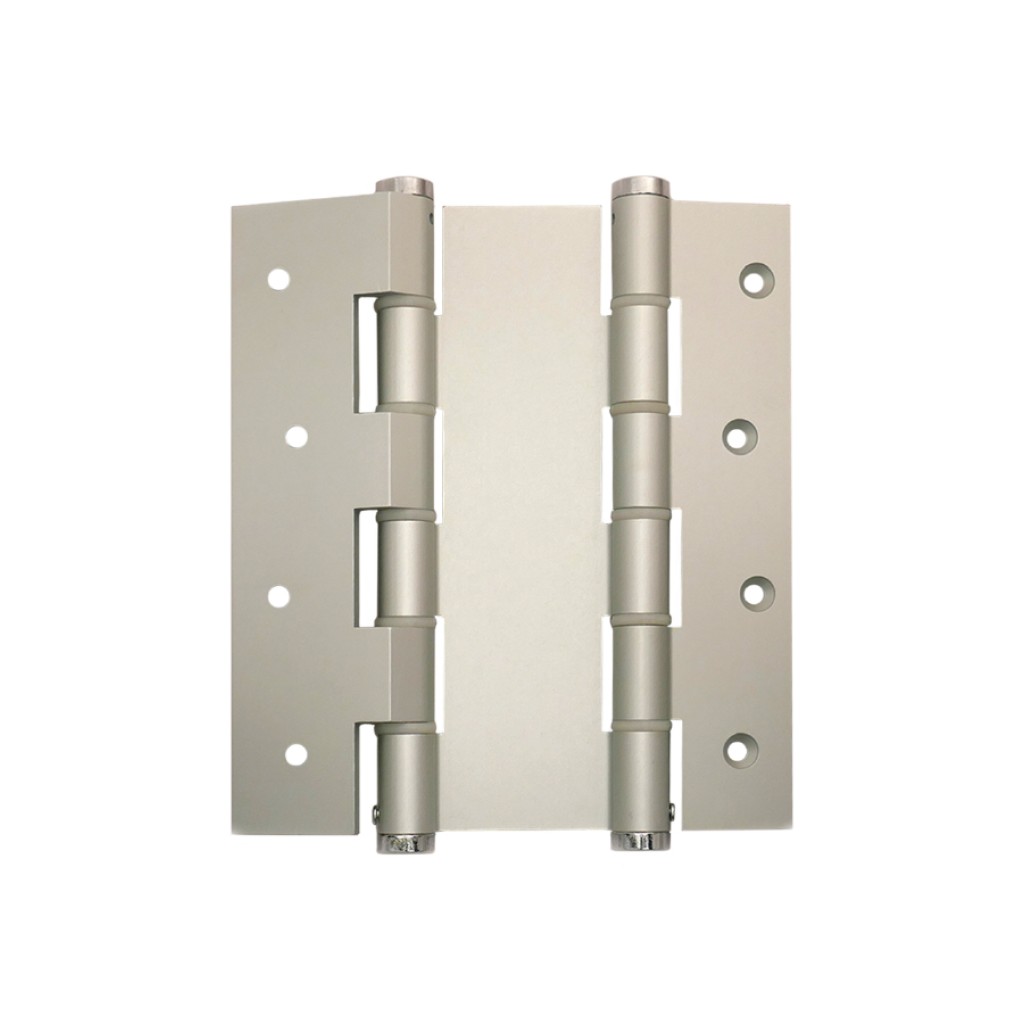 BISAGRA DOBLE ACCION (VAIVDA180 PLATA