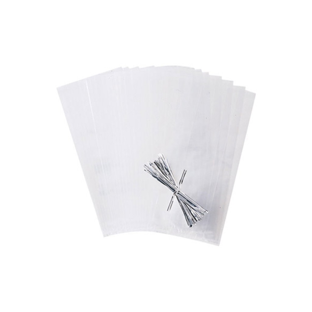 BOLSA TRANSPARENTE (25 UN)10X23