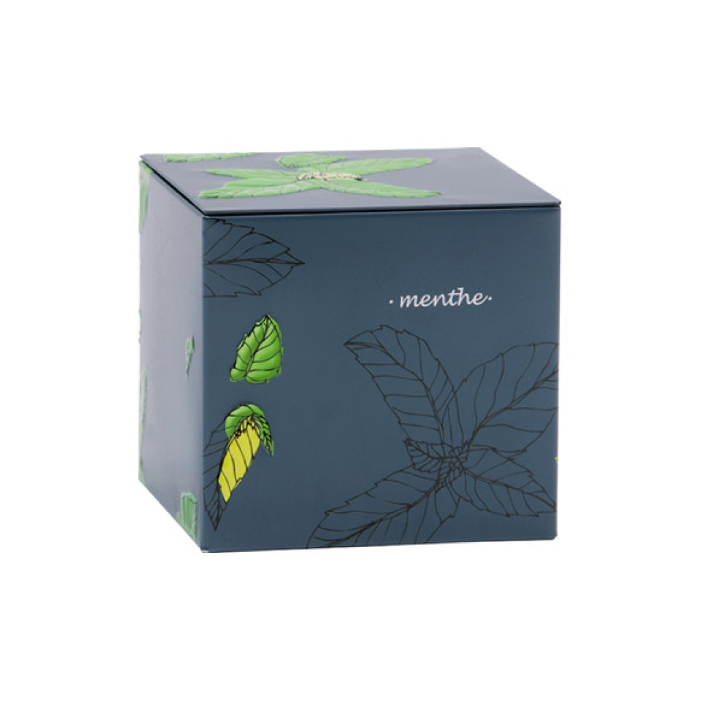 CAJA METALICA DECORADA RELIE43010-TE   *