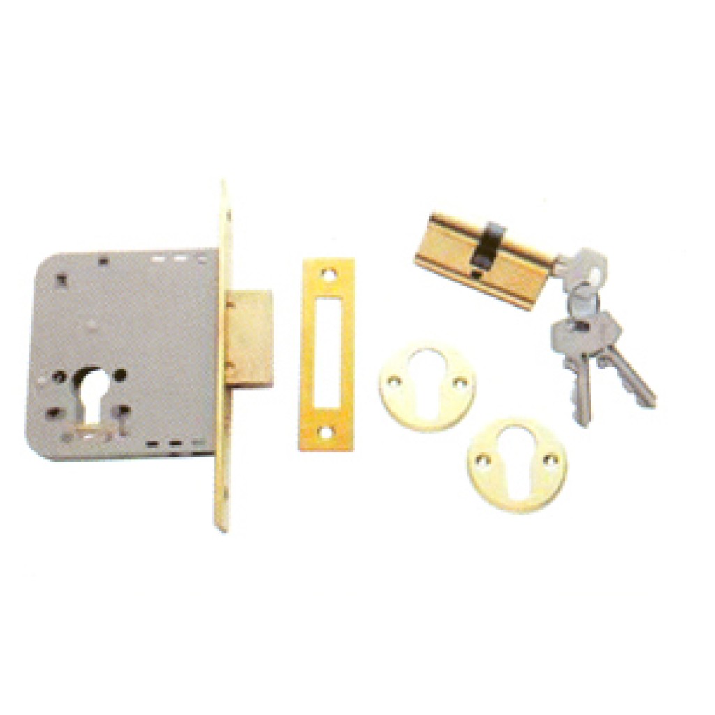 CERRADURA EMBUTIR SERIE 202031/ 50-H/L