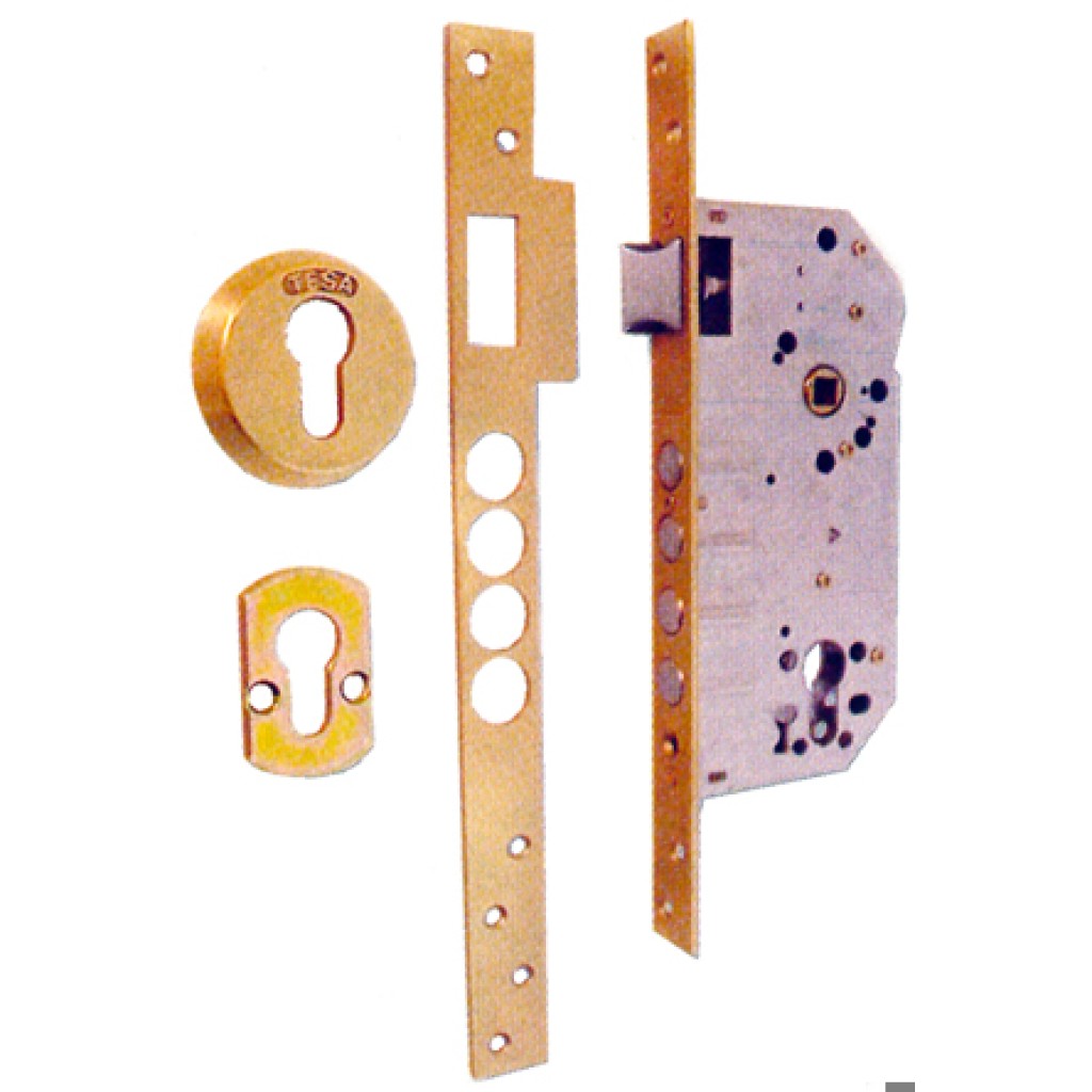 CERRADURA BATON E3096/50 LATON  (R100B)