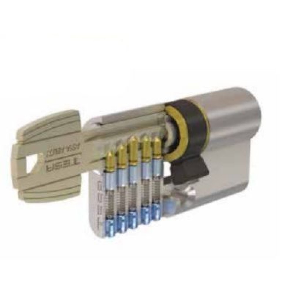 CILINDRO TE5 LEGUETA REGUL30-10 NIQUEL 3