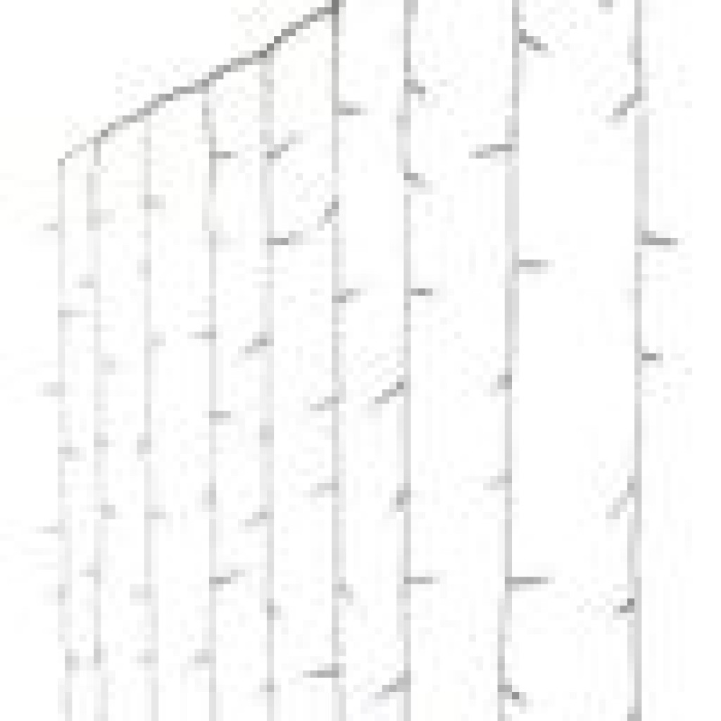 CORTINA LED EXTERIOR B.FRIO 225X150 240L