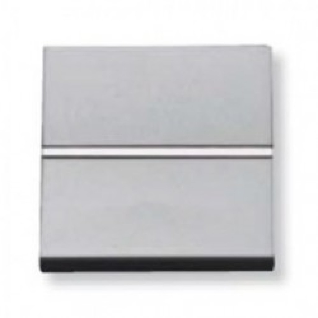 CRUZAMIENTO PLATA         (082106)